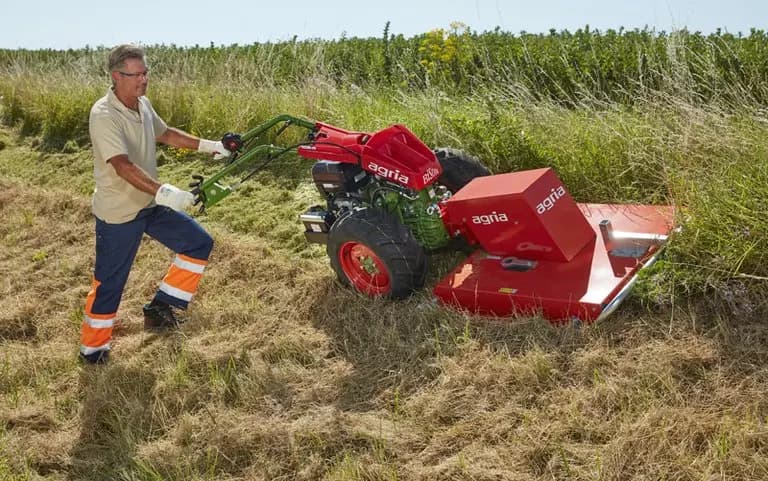 agria 5900 Bison E-Start